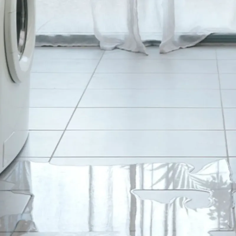 Appliance Leak Cleanup in Milton, PA